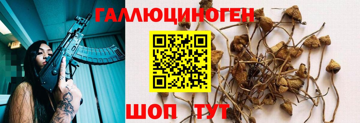 Ливны  Псилоцибиновые грибы Cubensis  дарнет шоп  Галлюциногенные грибы MAGIC MUSHROOMS  Вход с VPN 